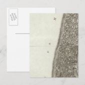 La Teste de Buch Postkarte (Vorne/Hinten)