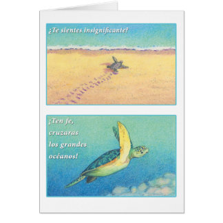La Tortuga De Mrz, tarjeta