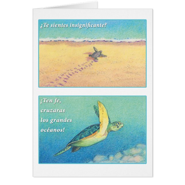 La Tortuga De Mrz, tarjeta (Vorne)