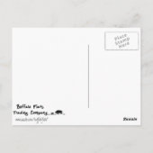 La Ventana Arch, New Mexico Postkarte (Rückseite)