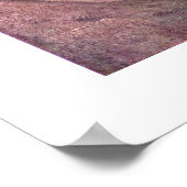 La Zingara by Jean-Baptiste Camille Corot Poster (Ecke)