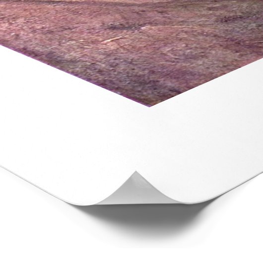 La Zingara by Jean-Baptiste Camille Corot Poster (Ecke)