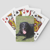 Lab-Leg Spielkarten (Rückseite)