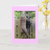 Labarador Dogs-Karte Karte (Gelbe Blume)