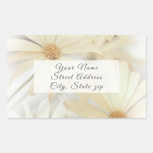 Label "Dreamy Daisies" Rechteckiger Aufkleber (Vorderseite)