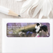 Label-Rücksendeadresse Border Collie (Insitu)