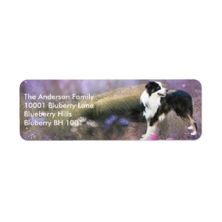 Label-Rücksendeadresse Border Collie