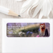 Label Rücksendeadresse Yorkshire Terrier (Insitu)