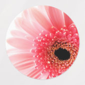 Labels Etiketten (Design 2)