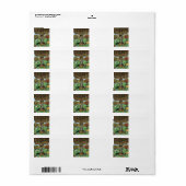 Labels für die Adresse des Buches Adressaufkleber (Vorne)