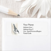 Labels für die weiße Nuthatch-Adresse (Insitu)