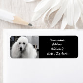 Labels für die weiße Poodle-Adresse (Insitu)