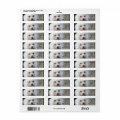 Labels für die weiße Poodle-Adresse (Vorne)