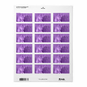 Labels für lila Cat-Adressen Adressaufkleber (Vorne)