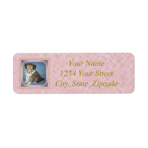 Labels für niedliche Shetland Sheepdog Welpenhunde