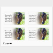 Labels für Pferdeadressen Rechteckiger Aufkleber (Blatt)