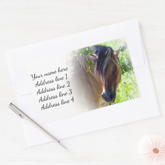 Labels für Pferdeadressen Rechteckiger Aufkleber (Umschlag)