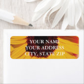 LABEVORLAG FÜR DIE SONNENBEFEHLERADRESSE (Insitu)