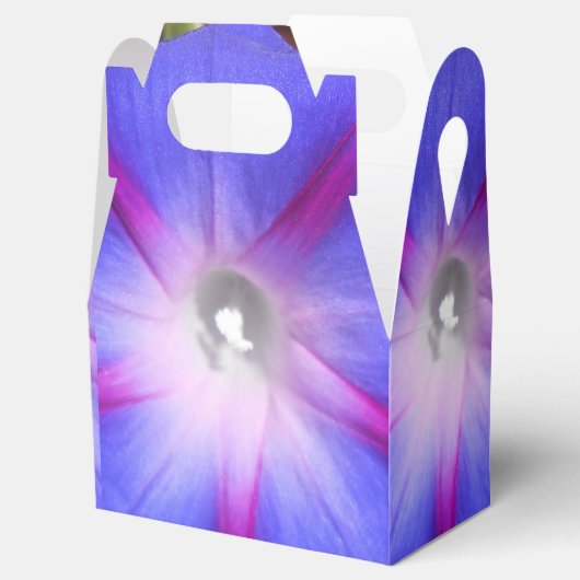 Labille-Guiard Geschenkschachtel (Geöffnet)