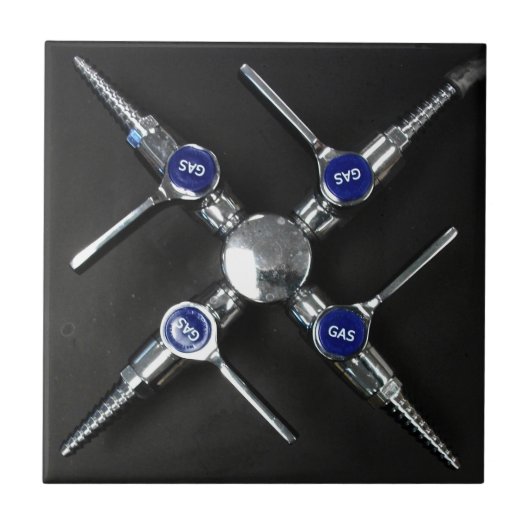 Laborgasventile auf dem Labrador Fliese (Vorderseite)