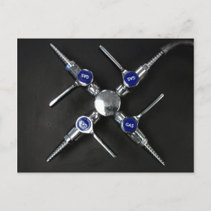 Laborgasventile auf dem Labrador Postkarte