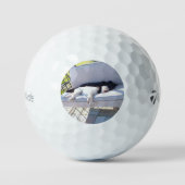 Laborgruppe schlafend golfball (Vorderseite)