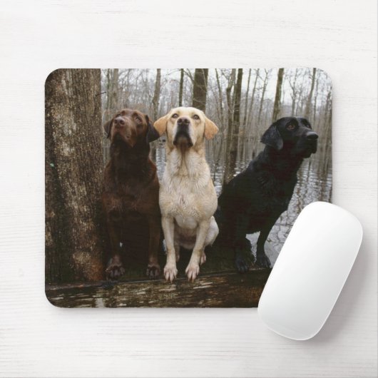 labrado Mausunterlage Mousepad (Mit Mouse)