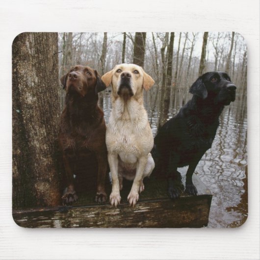 labrado Mausunterlage Mousepad (Vorne)