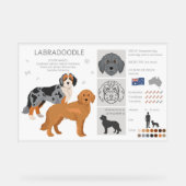 Labradoodal-Hundemischung Acrylschild (Vorderseite)