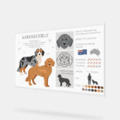 Labradoodal-Hundemischung Acrylschild (Winkel)