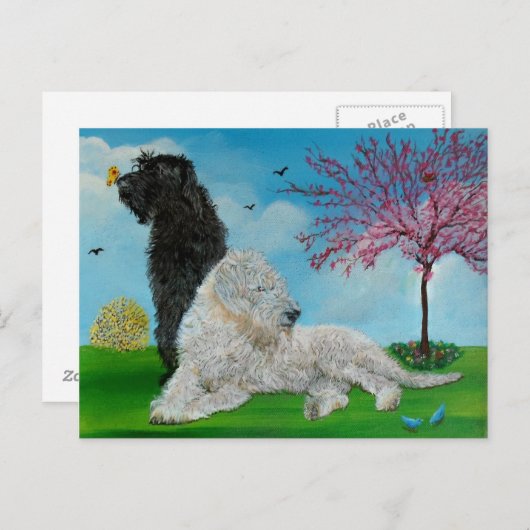 Labradoodfrühling Postkarte (Vorne/Hinten)