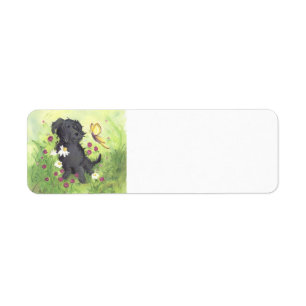 Labradoodle