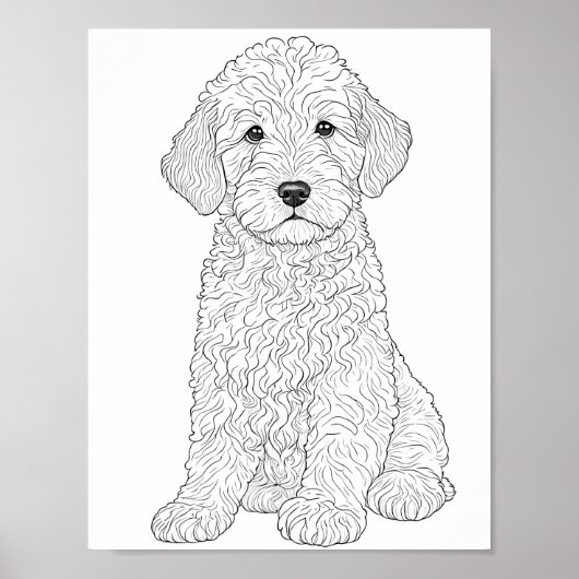 Labradoodle Adult Coloring Poster (Vorne)