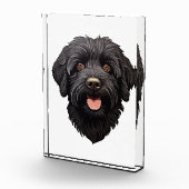 Labradoodle Black Dog Fotoblock (Rechts)