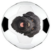 Labradoodle Black Dog Fußball (Gedreht)