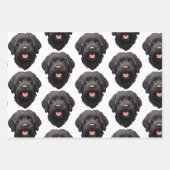 Labradoodle Black Dog Geschenkpapier Set (Vorderseite 3)