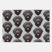Labradoodle Black Dog Geschenkpapier Set (Vorderseite 2)