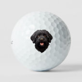 Labradoodle Black Dog Golfball (Vorderseite)