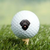 Labradoodle Black Dog Golfball (Insitu T-Shirt)