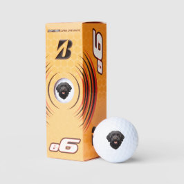 Labradoodle Black Dog Golfball