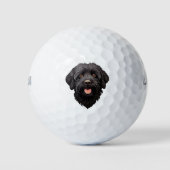 Labradoodle Black Dog Golfball (Vorderseite)