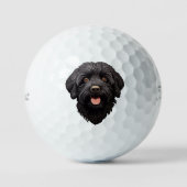 Labradoodle Black Dog Golfball (Vorderseite)