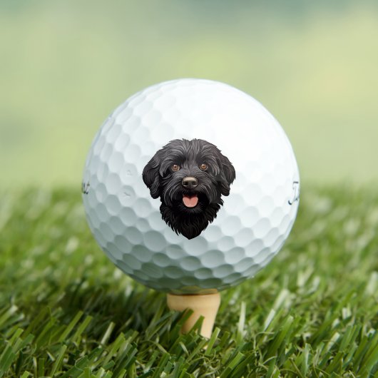 Labradoodle Black Dog Golfball (Insitu T-Shirt)