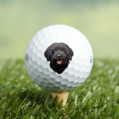 Labradoodle Black Dog Golfball (Insitu T-Shirt)