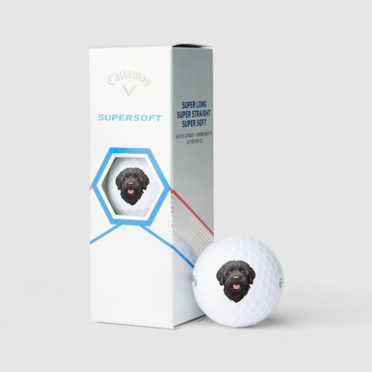 Labradoodle Black Dog Golfball (Verpackung)