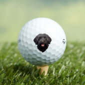 Labradoodle Black Dog Golfball (Insitu T-Shirt)