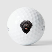 Labradoodle Black Dog Golfball (Vorderseite)