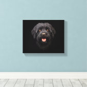 Labradoodle Black Dog Leinwanddruck (Insitu (Holzboden))