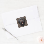 Labradoodle Black Dog Quadratischer Aufkleber (Umschlag)