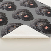 Labradoodle Black Dog Sherpadecke (3/4)